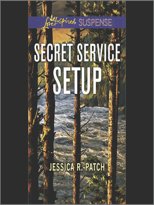 cover image of Secret Service Setup